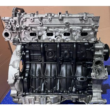Überholter Mercedes Benz Motor OM651.951 Euro 5/6